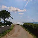 Seaside Serenity 