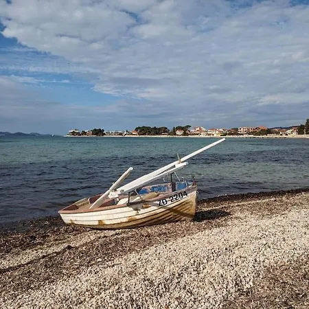 Seaside Serenity Rose Sukosan