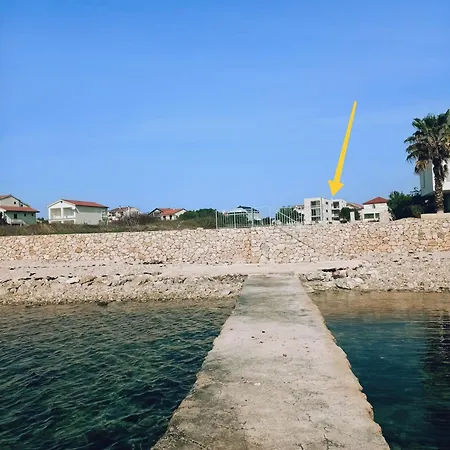 Seaside Serenity Rose * Sukosan